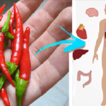 Benefits of Spicy Food in Your Body That You