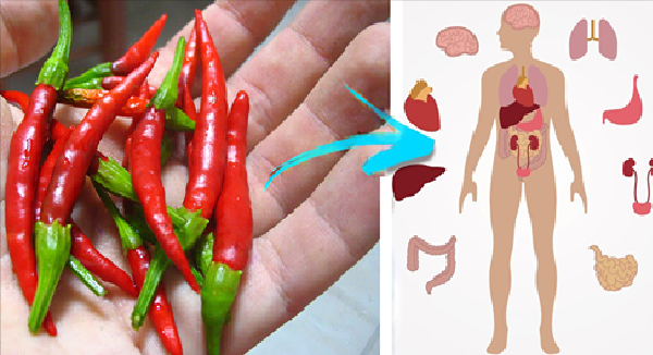 Benefits of Spicy Food in Your Body That You